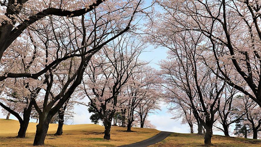 2026春魅力「春のラウンド体験」