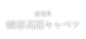 FOOD 群馬県 嬬恋高原キャベツ