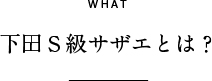 WHAT 下田S級サザエとは？