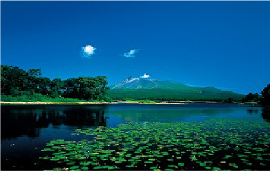 駒ヶ岳を望む大沼公園