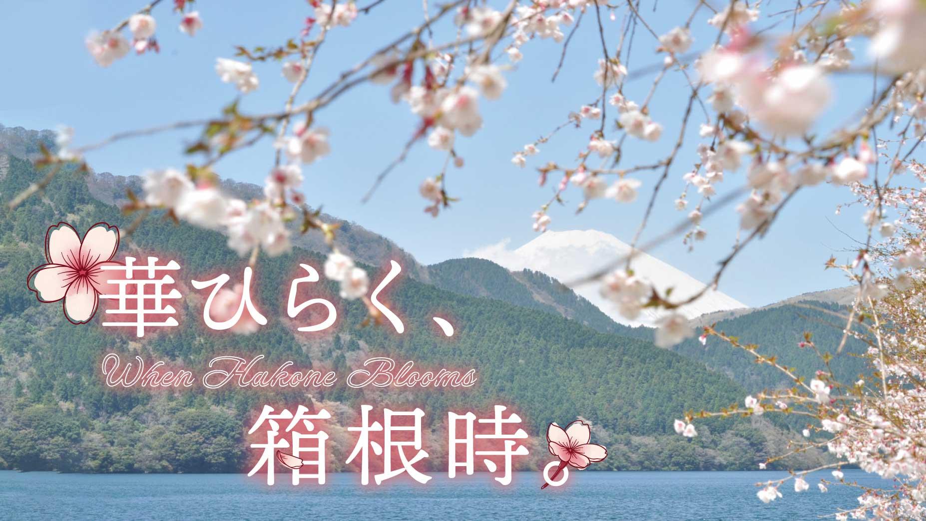 華ひらく、箱根時。