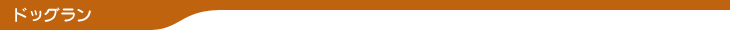ドッグラン