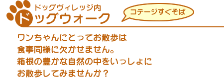 ドッグウォーク