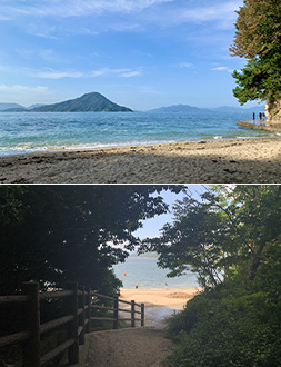 ホテル周辺海岸