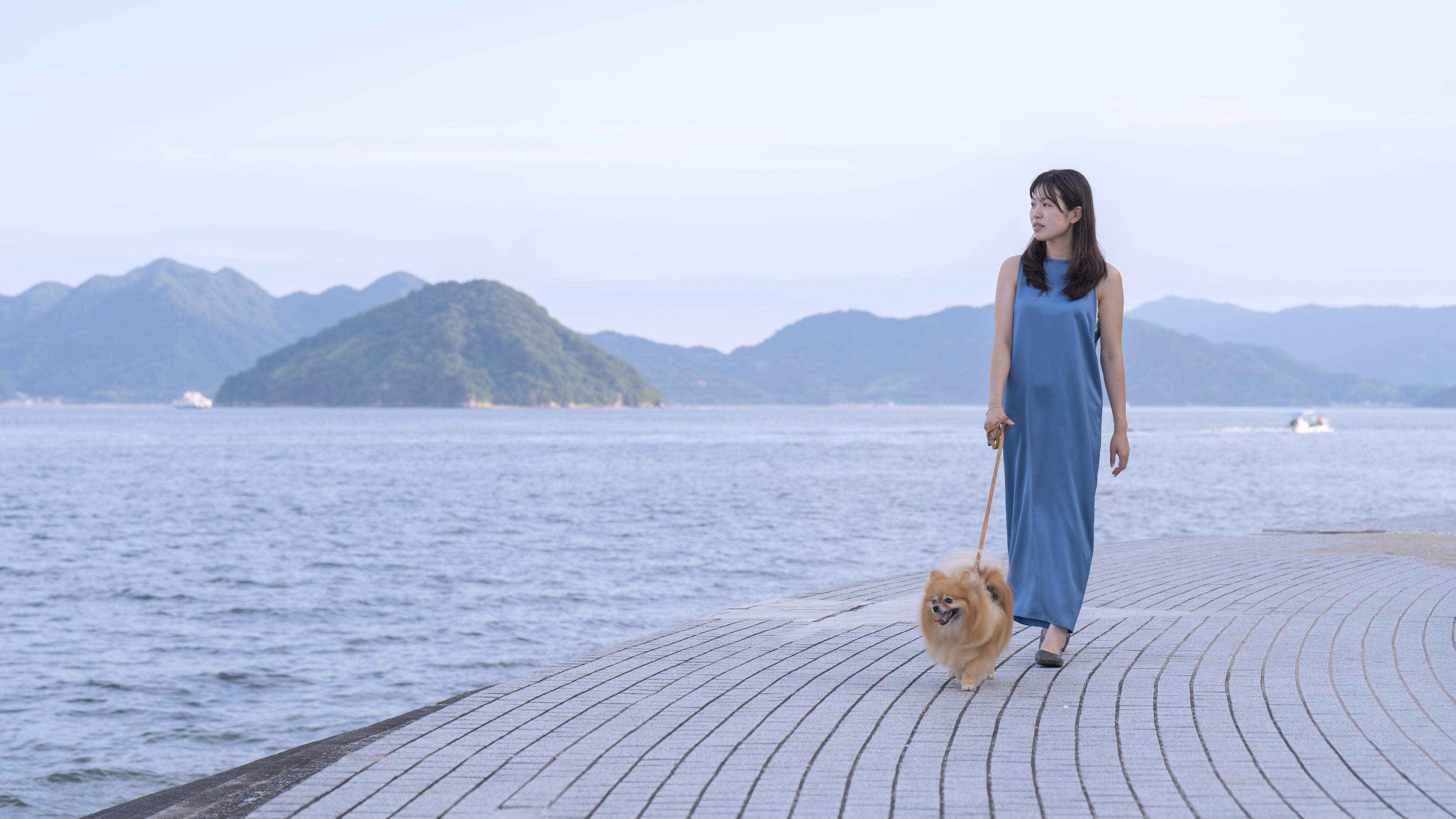 ワンちゃんと海岸沿いを散歩する女性