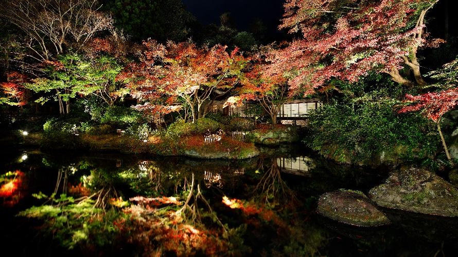 紅葉のライトアップがひと際美しい茶寮