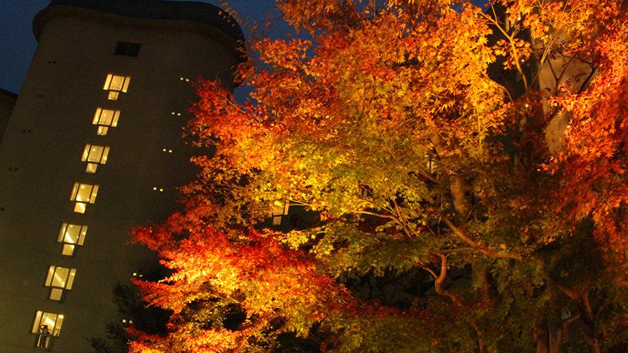 巨匠・村野藤吾の最晩年の建築と紅葉のコラボレーション