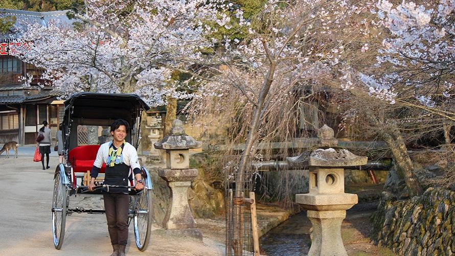 人力車イメージ