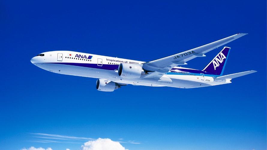 ANAのマイル付き