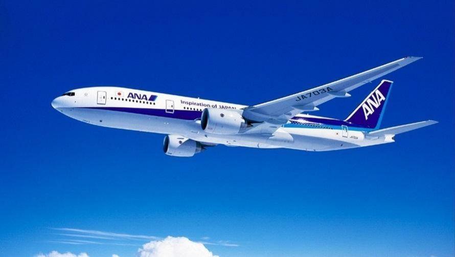 全日本空輸（ANA）の飛行機の写真です。