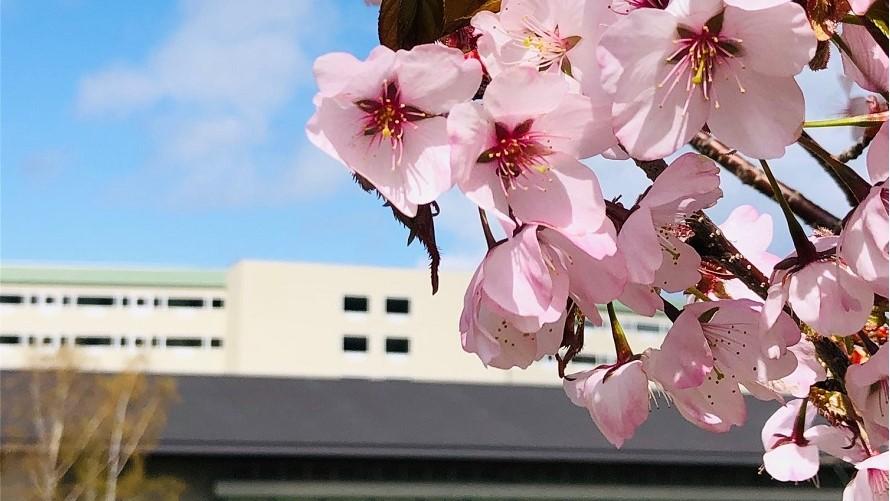 春はすぐそこまで