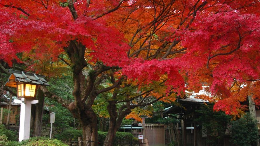 秋旅におすすめ 鎌倉の秋を楽しむ宿泊プラン 鎌倉プリンスホテル
