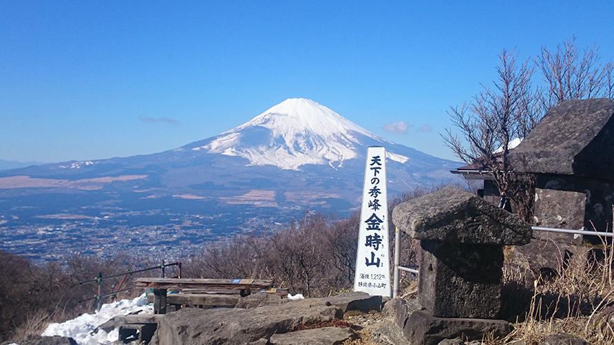 金時山から望める富士山