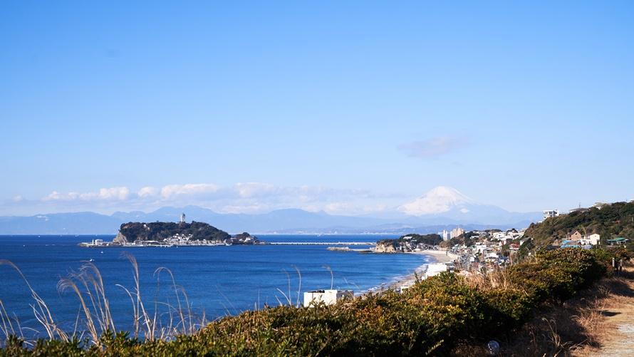 【Prince Basic 】《ベストレート保証》