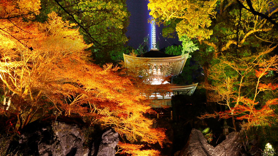 絶景を味わう宵紅の船旅（夕朝食付き）