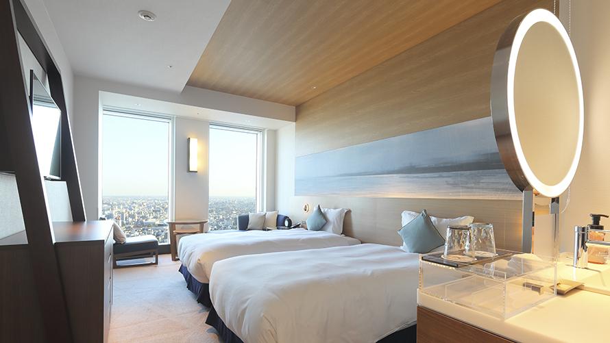 スカイツインルームの全貌