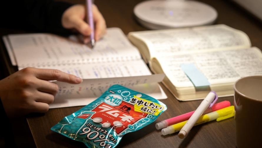 【がんばれ受験生！】サクラ咲く宿泊プラン