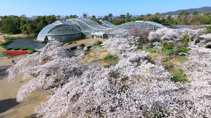 北山散策へお出かけください。