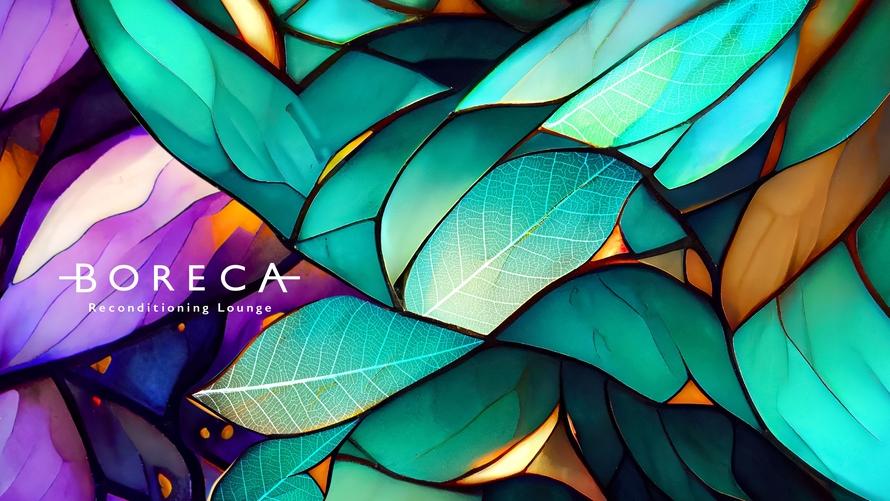 BORECA Fitnessロゴマーク