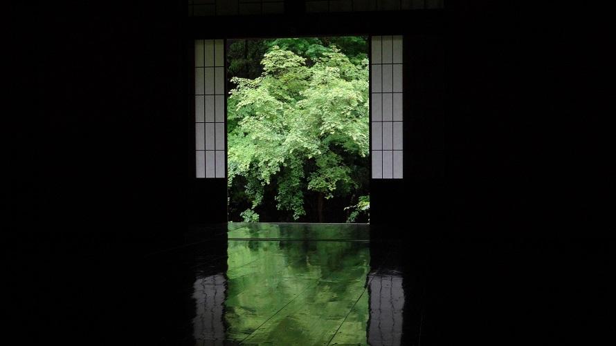 【40周年秋の特別企画】執事が案内する実相院門跡 特別拝観と茶寮会席付き洛北ステイ