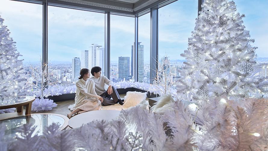 （昼）白銀の客室でカップルが窓の外の景色を眺める