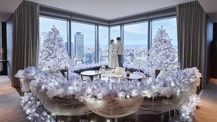 （昼）白銀の客室でカップルが見つめあう