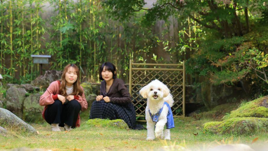 女性２名が愛犬と旅館で過ごす。
