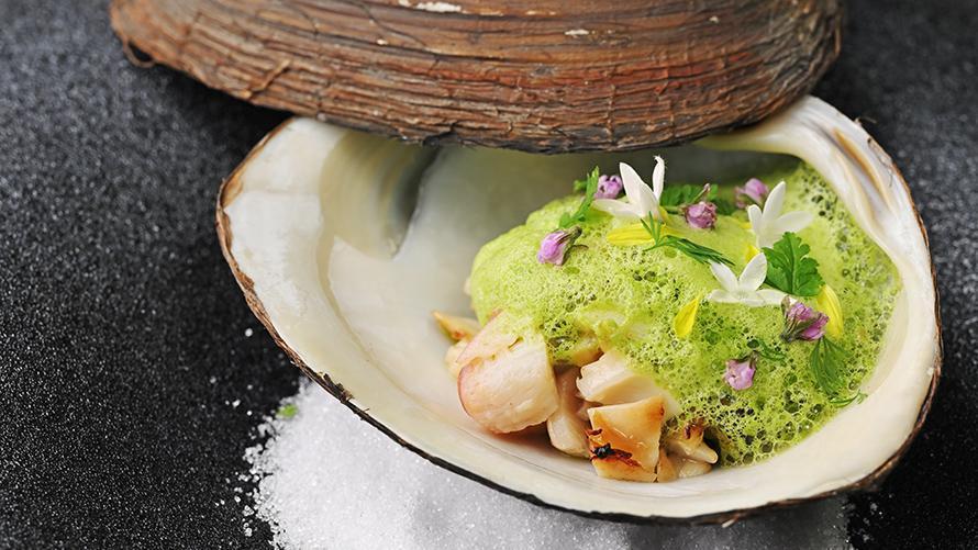 1月10日（土）～2月28日（土）メニュー