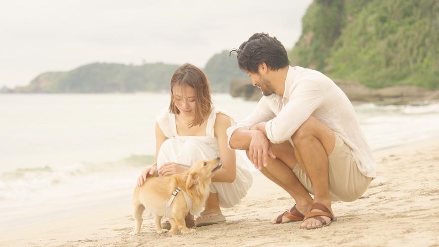 【ご優待プラン】愛犬と旅するビーチリゾート～ワンちゃんと一緒にお泊り！