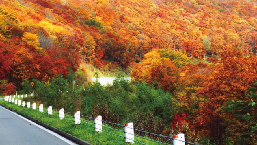 城岱スカイラン