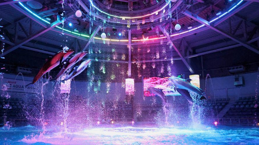 マクセル アクアパーク品川