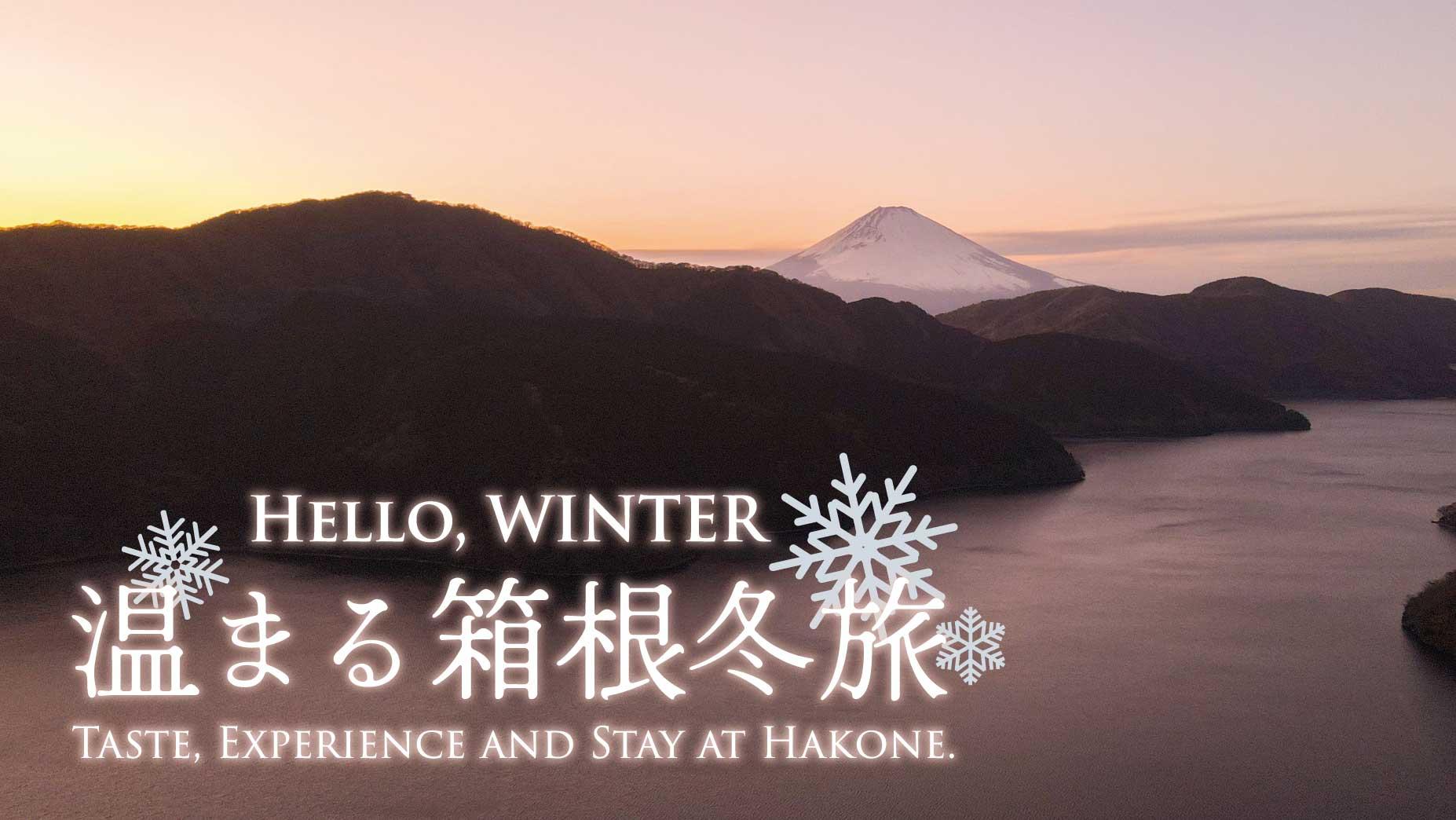 夕暮れ時の富士山と芦ノ湖