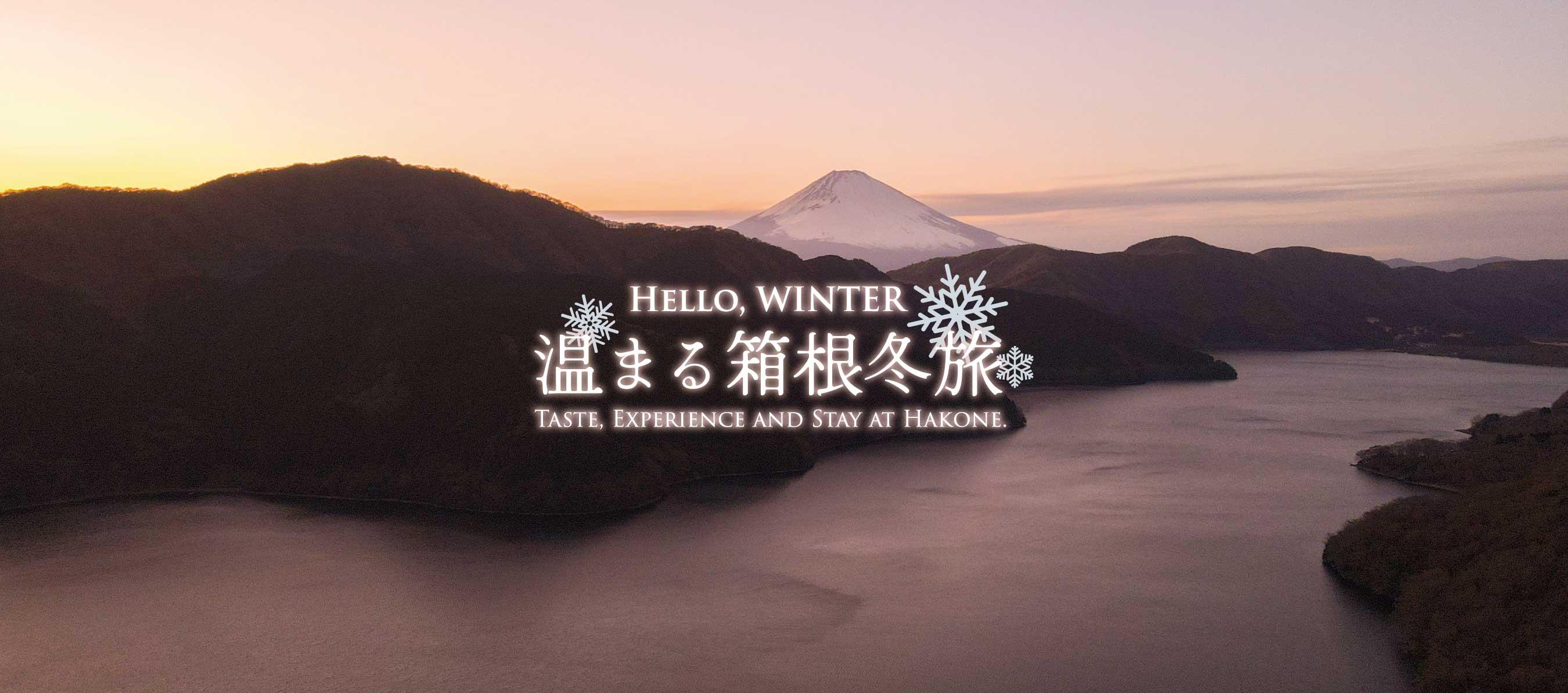 夕暮れ時の富士山と芦ノ湖