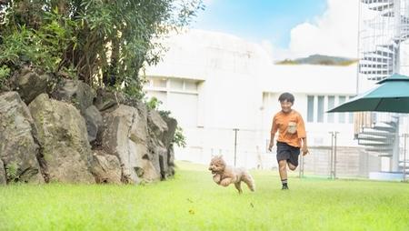 【会員限定Special Offer】愛犬と旅するビーチリゾート