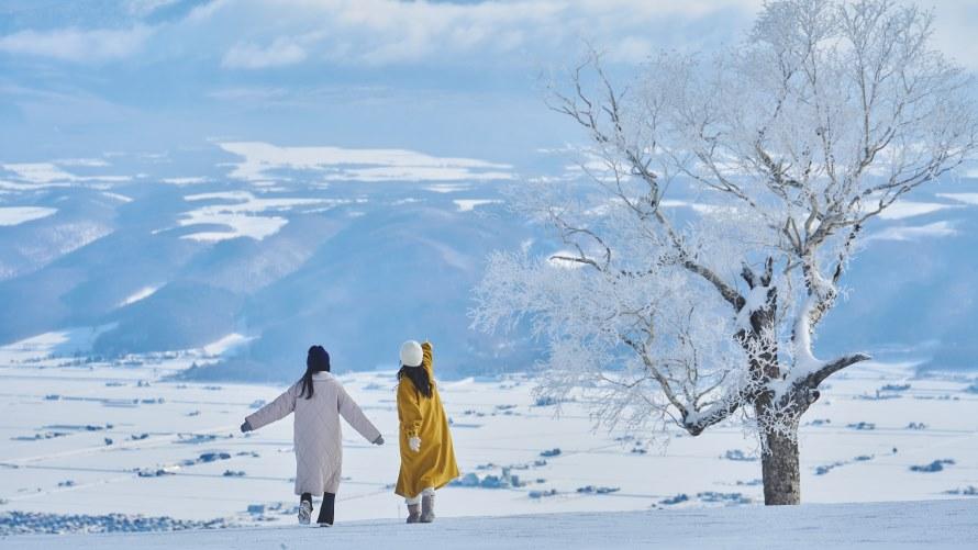 女性二人で雪の積もった山を眺めている