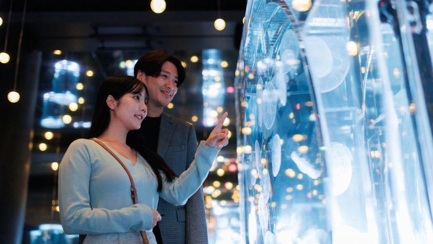 閉館後の「マクセルアクアパーク品川」でクラゲの水槽を眺めるふたり