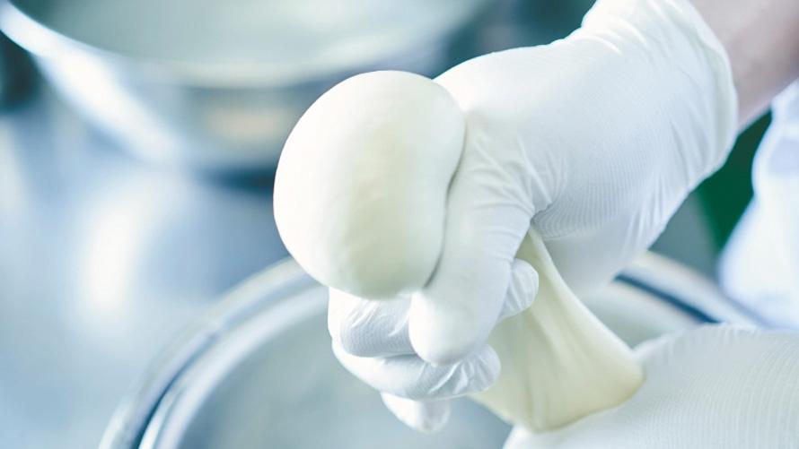 できたてモッツァレラチーズが楽しめる