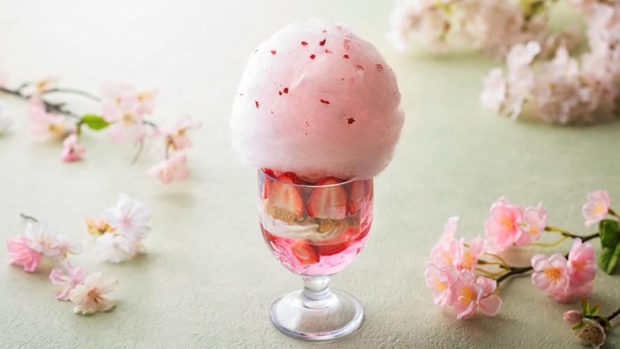 大磯 桜咲く季（とき）2026限定の桜パフェ