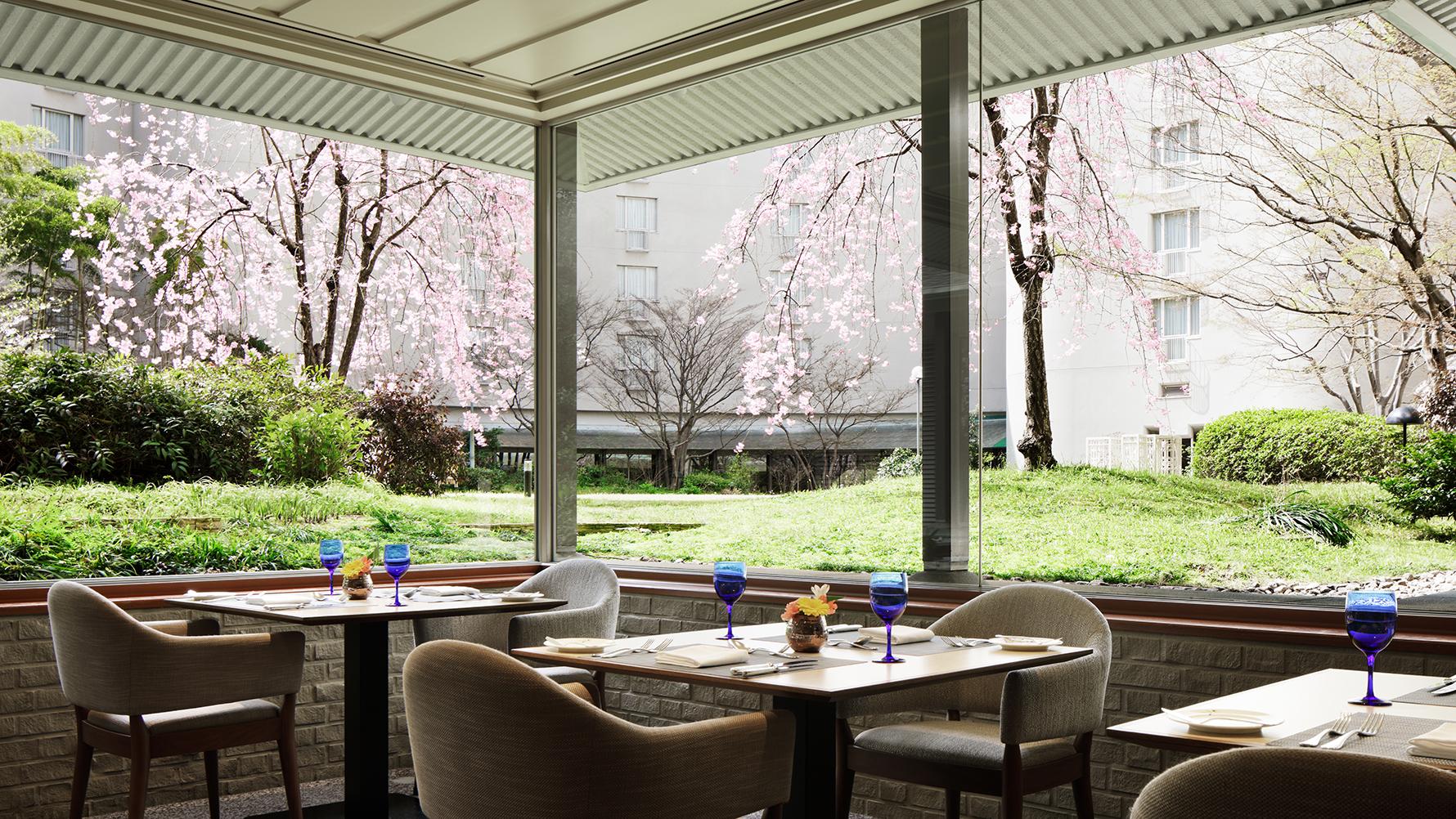 桜の季節には、店内から「いと桜」を望むことができます。