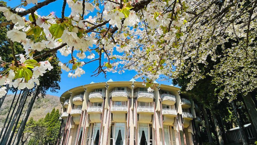 芦ノ湖を望むレイクビューツインルーム