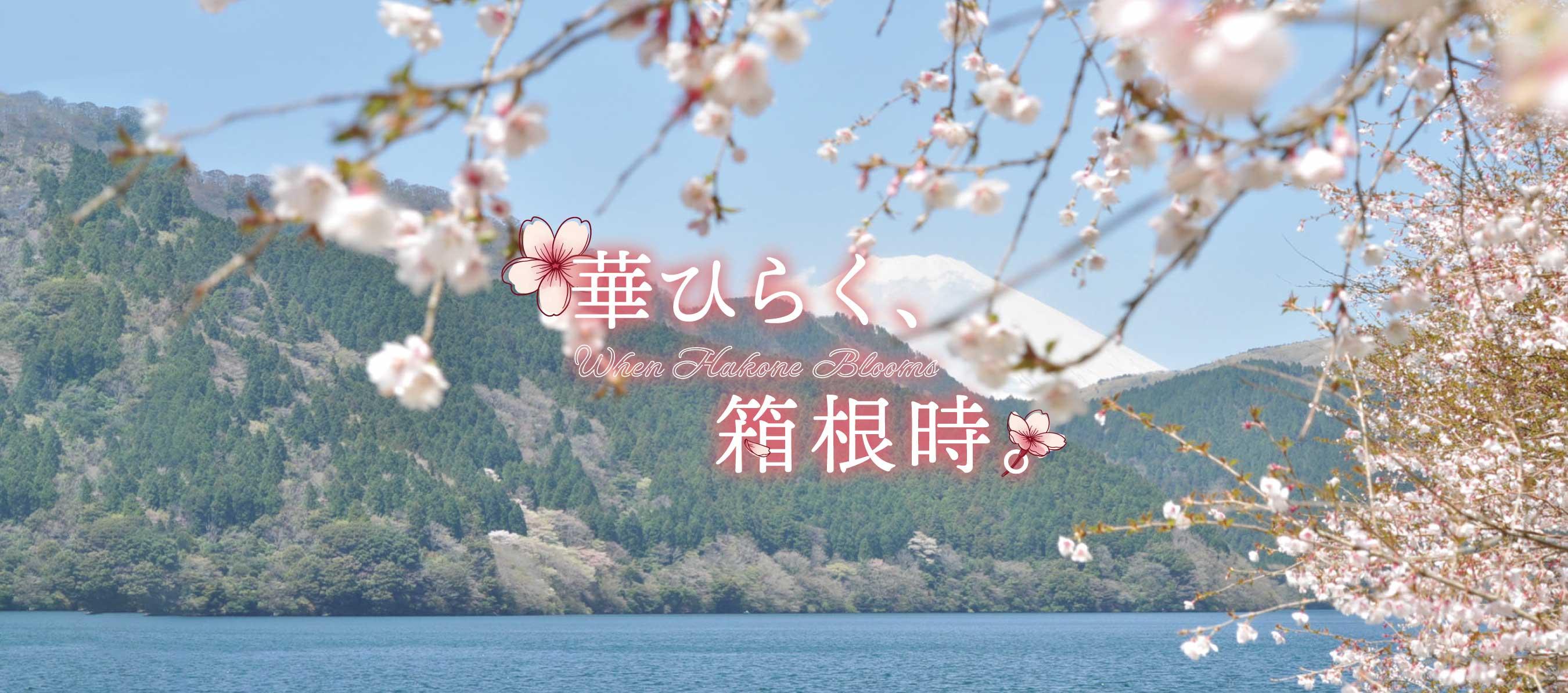 桜色のフレームで彩る富士山・芦ノ湖