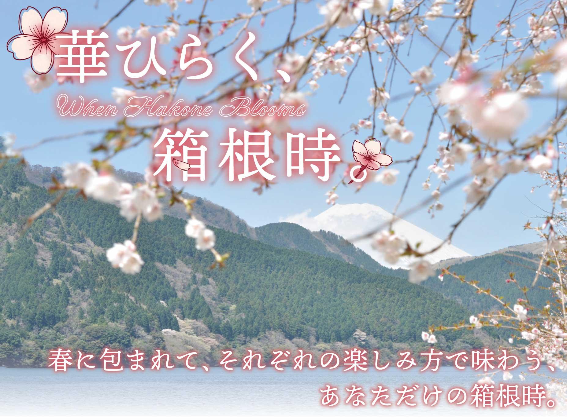 さくらと富士山の共演