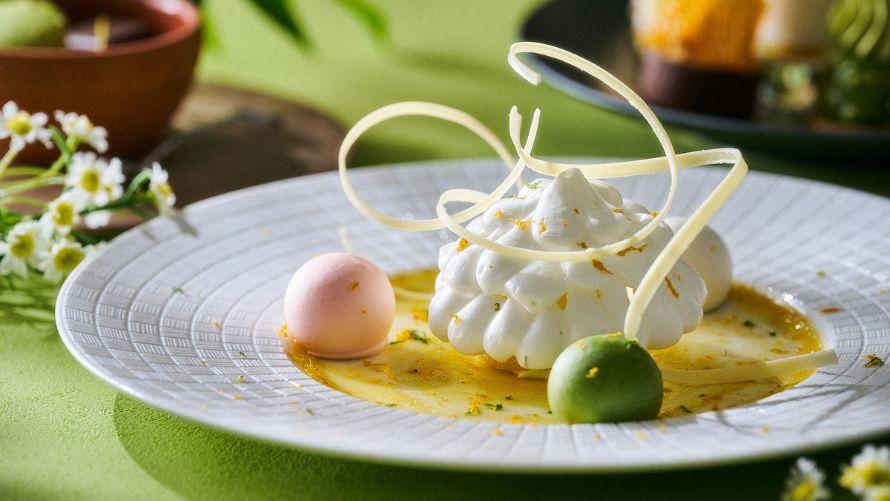 八女茶×柑橘のアンサンブル