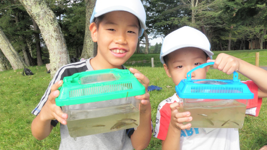 夏休みの自由研究プログラムイメージ