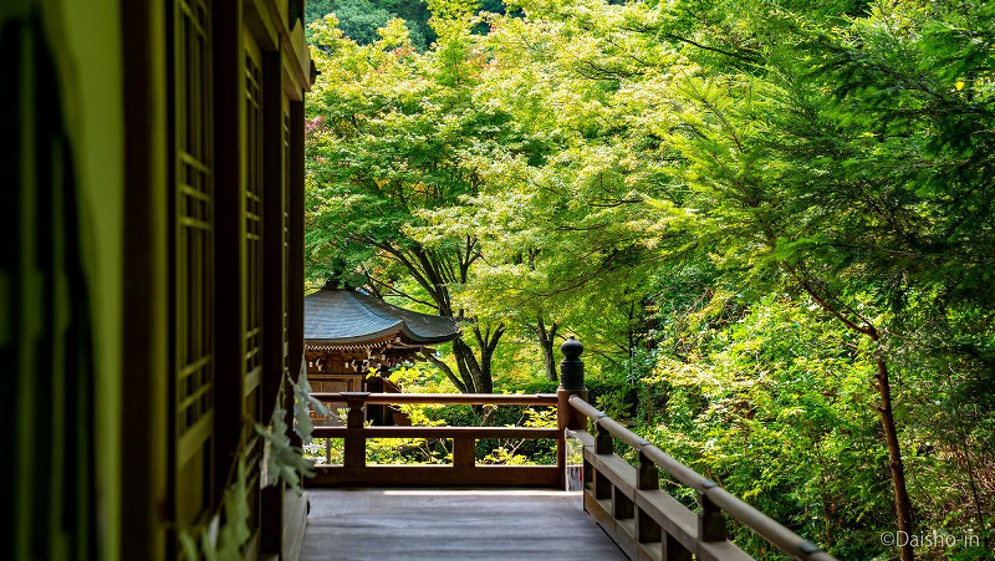 寺院の庭