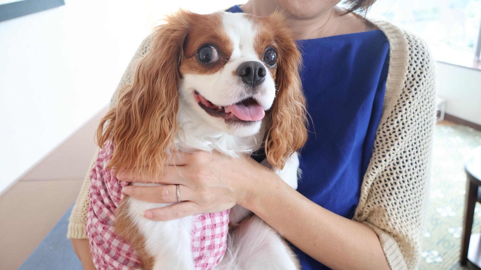 グランドプリンスホテル広島　ドッグフレンドリールームで犬を抱いている女性