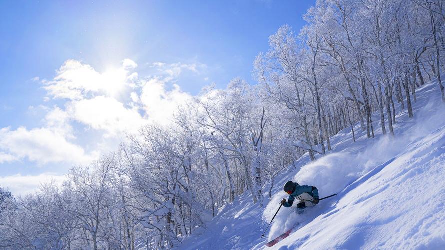 Furano bonchi powder