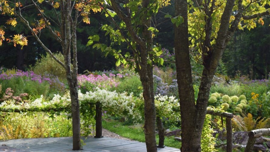 お得な会員限定のみのプラン！