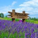 新富良野プリンスホテル