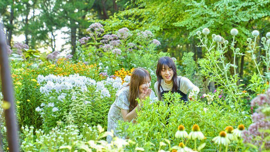 ※今シーズン営業終了